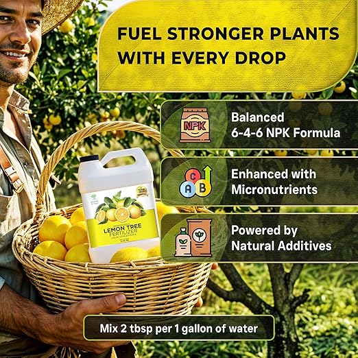 Leaves and Soul Professional Lemon Tree Fertilizer Liquid Concentrate - 6-4-6 Blend for Fruit Tree Fertilizer, Garden - Liquid Plant Food for Lemon Trees in Pots or Outdoors - 32oz