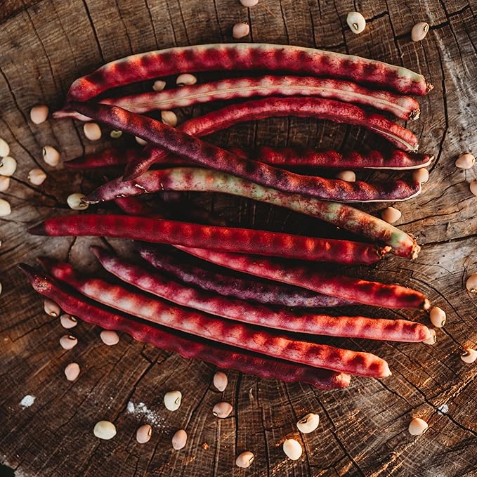 Top Pick Brown Crowder Pea/Cowpea- 50 Seeds - Heirloom & Open-Pollinated Variety, USA-Grown, Non-GMO Vegetable Seeds for Planting Outdoors in The Home Garden, Thresh Seed Company