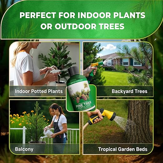 Leaves and Soul Professional Pine Tree Fertilizer Liquid Concentrate - 6-4-6 Blend for Pine, Garden Use - Liquid Plant Food for Pine Trees and Shrubs Outdoors - 8oz