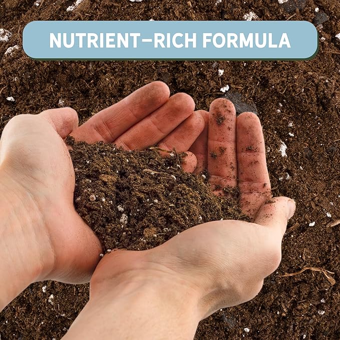 Money Tree Soil (4 Quarts), Potting Mix for Planting/Repotting Pachira Aquatica, All-Natural Custom Soil Blend