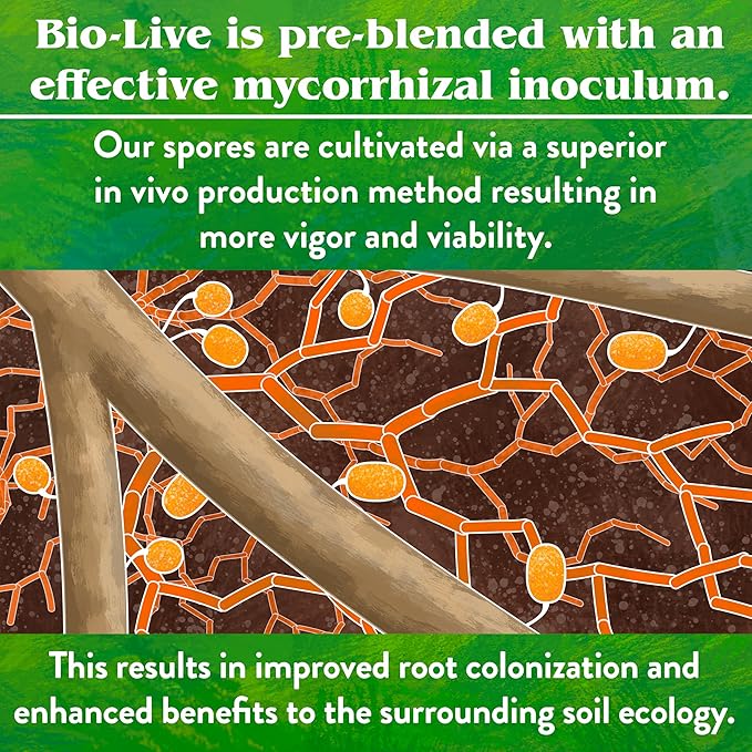 Down To Earth All Natural Fertilizers Organic Bio-Live Starter & Transplant Mix with Mycorrhizal Fungi and Benefical Microbes for Plant Food 5-4-2, 4 lb