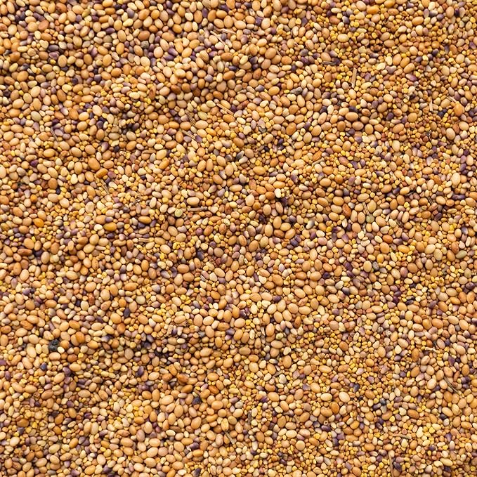 Cover Crop Seed Mix - Pollinator & Bee Friendly Cover Crop Mix - 5 lb Bulk ~34,000 Seeds - Clover Cover Crop Blend - Includes Hairy Vetch Cover Crop Seeds, Crimson Clover, Peas, & Oats