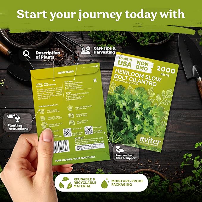 KVITER 1000 Slow Bolt Cilantro Seeds (Coriandrum sativum) - Cilantro Organic Seed, Slow to Bolt Coriander Seed, Aromatic Leaves - Herb Seeds for Planting in Outdoor & Indoor Garden