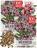 Seed Needs Showy Milkweed Seeds for Planting - Untreated & Open Pollinated, Attracts Monarch Butterflies in a Butterfly Garden (2 Packs)