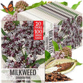 Seed Needs Pink Milkweed Seeds for Planting Common Asclepias syriaca - Heirloom & Open Pollinated Perennial Flower Seed to Plant a Monarch Butterfly Garden (20 Packs)