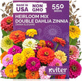 KVITER 550 Dahlia Zinnia Seeds for 2026 Mix (Zinnia Elegans) – Double Blooms, Non GMO, Heirloom & Organic – Flower seeds for Planting Outdoors in Garden, Containers, Flower Beds. Ideal for Cut Flowers
