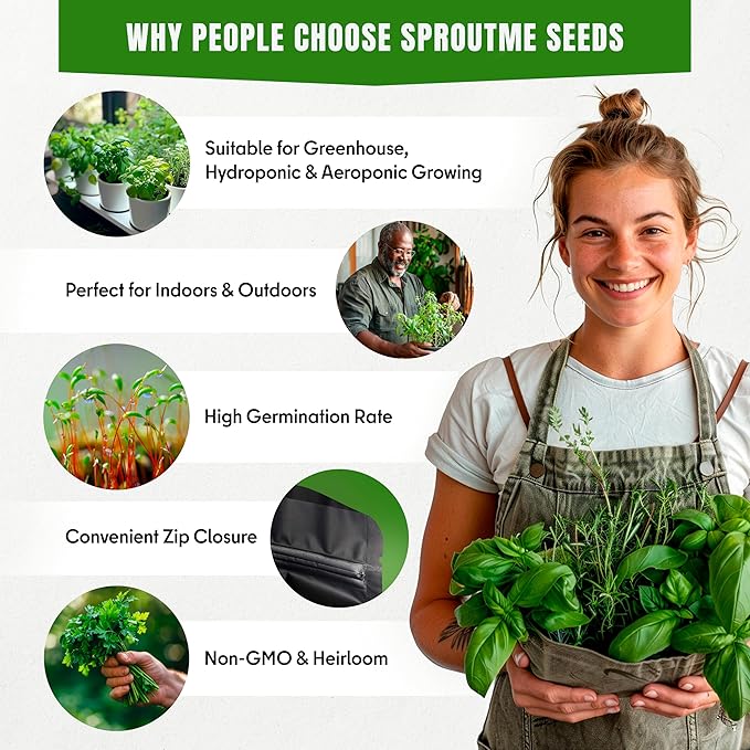 Fall & Winter Rosemary Seeds for Indoor & Outdoor Planting – 100+ Non-GMO Heirloom USA-Grown Aromatic Culinary Herb with High Germination (Rosmarinus officinalis)