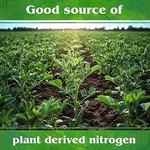 Down To Earth All Natural Fertilizers Organic Alfalfa Meal - Plant Food for Roses, Bulbs, Flowers and Ornamentals 2-0-1, 4 lb (2 Pack)