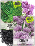 Seed Needs Chive Seeds for Planting Garlic & Common Chives Herbs - Non-GMO Heirloom & Untreated Garden Seed to Plant an Indoor/Outdoor Culinary Garden (Collection of 2 Packets)