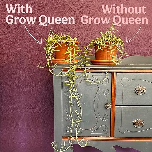 Grow Queen All-In-One Organic Succulent Fertilizer, Cactus Fertilizer, Succulent Plant Food, Bonsai & Cactus Food, 3 lb bag = 75 Single Servings, Fast & Slow Release feeds up to 300 plants for 8months