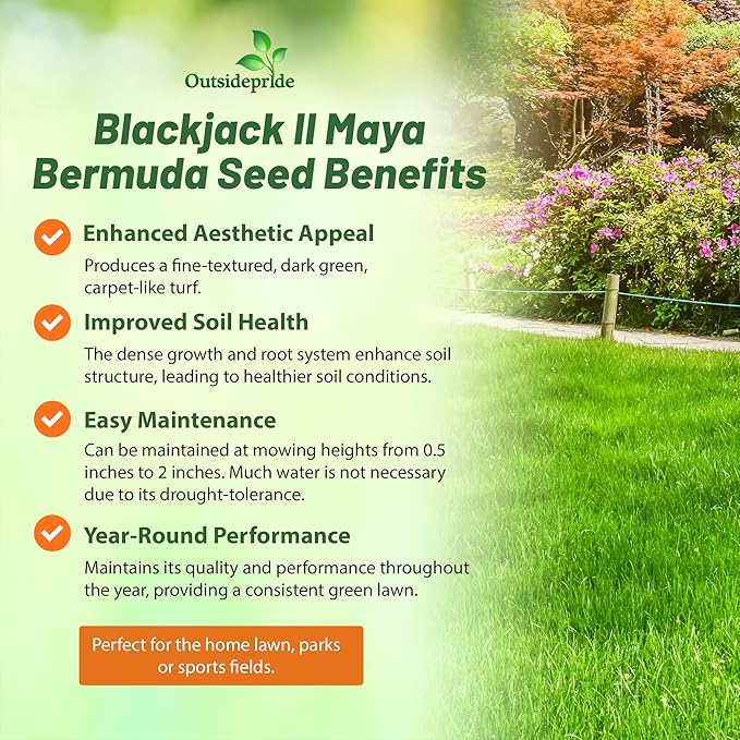 Outsidepride Maya (Blackjack II) Bermuda Grass Seed - 10 lbs Warm Season, Drought Tolerant, Fast Growing, Fine-Textured Bermuda Grass Seeds for Lawn, Parks, Golf Courses & Sports Fields