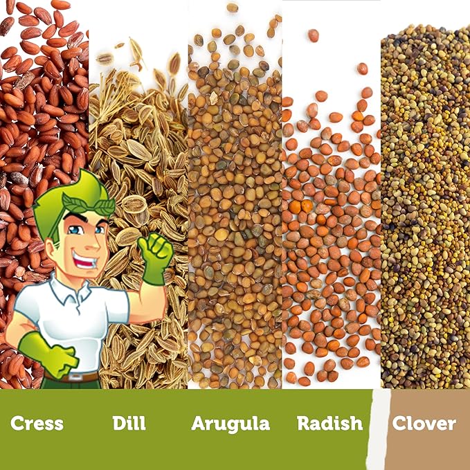 Todd’s Seeds - Countryside Delight Sprouting Seed Mix - One Pound - Sprouting Seeds for Microgreens - Clover, Cress, Arugula, Radish and Dill - Chemical Free - Non GMO