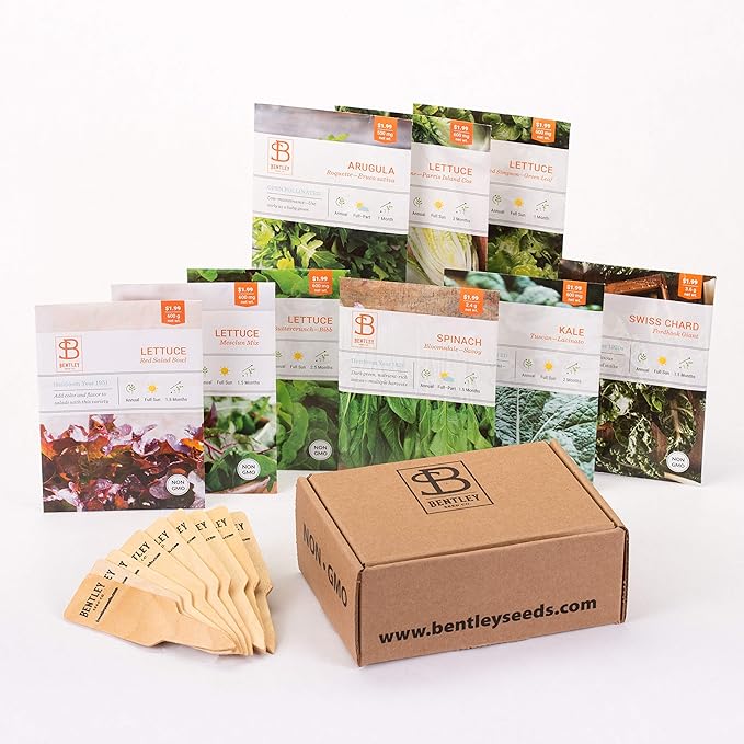 Seed Starter Kit – Salad Greens | Non-GMO | Heirloom Seed Packets | Natural Wood Row Markers | Over 100 Square Feet of Salad Greens