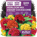 KVITER 500 Dwarf Mix Cockscomb Seeds for Planting (Celosia argentea) – Woolflower Rooster Comb Celosia Seeds for Planting Flowers – Heirloom Flowers Plant Seed Mix Garden Container Flower Beds Outdoor