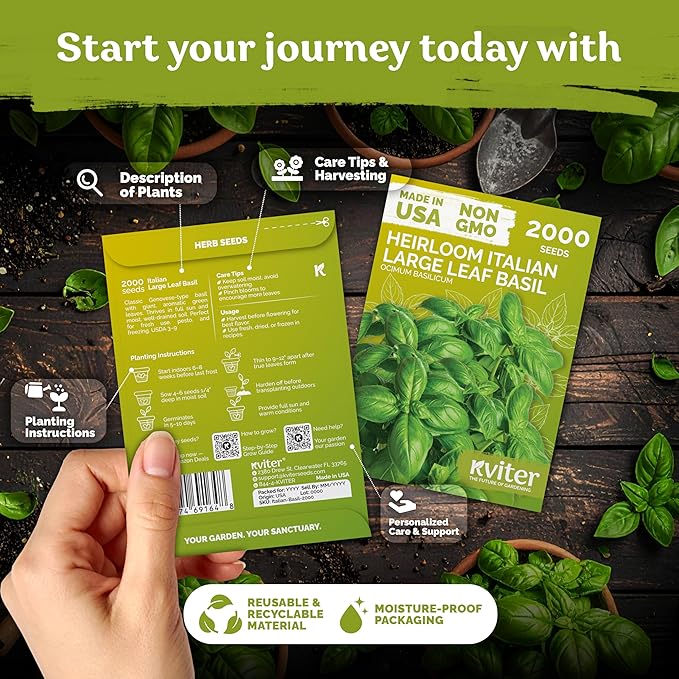KVITER 2000 Italian Basil Seeds for Planting (Ocimum basilicum) - Sweet Genovese Basil, Heirloom & Non GMO, Classic Pesto Flavor - Herb Seeds to Plant in Containers, Outdoor & Indoor Herb Garden