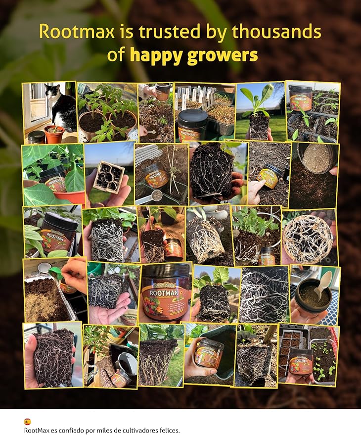 RootMax - Mycorrhizal Fungi (200 g/7.05 oz) | Rooting Powder for All Plants, Trees, Flowers & Edibles | Direct to Root Inoculant | Treats 40+ Plants