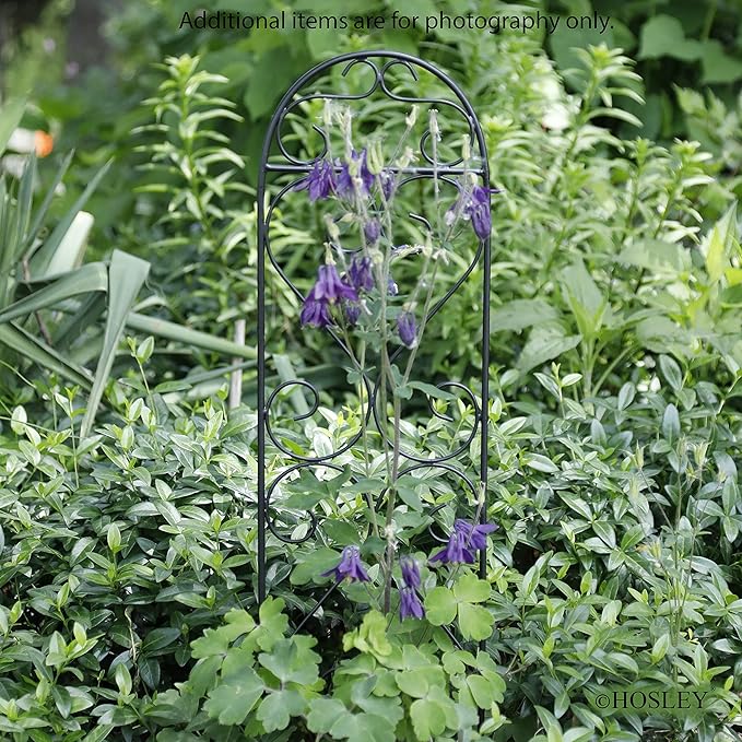 Hosley Set of 4 Iron Wave Pot Trellis 7.5" W x 27" H, Ideal Gift for Floral Arrangements Wedding or Party and Use Next to Structures Home or in Planters for Growing Floral Plants Vines and Vegetable