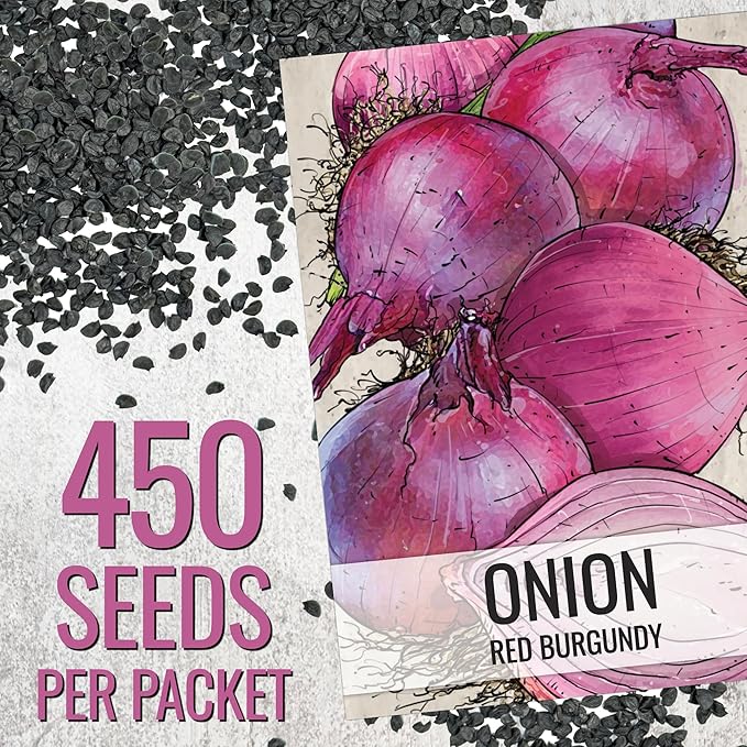 Seed Needs Onion Seeds for Planting Red Burgundy Short Day Onions - Non-GMO Heirloom & Untreated Vegetable Seeds to Plant an Outdoor Home Grown Veggie Garden (1 Pack)