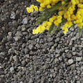 Lava Rocks for Plants (3/8’’ Minus), Natural Black Lava Rocks, Succulent & Terrarium Horticultural Volcanic Rock, Ideal Drainage for Potted Plants, Made in USA (3 qts - 4.8 lbs)