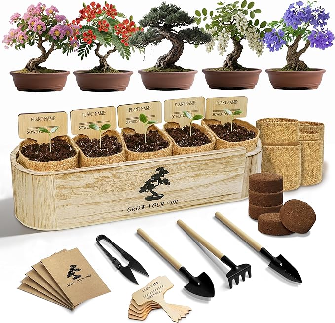 LUOJIBIE Bonsai Tree Kit for Beginners - Unique DIY Japanese Bonsai Trees, Crafts for Adults, for Women & Men,Complete Indoor Plant Kit