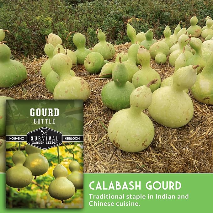 Bottle Gourd Seed for Planting - 5 Packets with Instructions to Plant & Grow Birdhouse or Calabash Gourds in Your Home Vegetable Garden - Non-GMO Heirloom Variety - Survival Garden Seeds