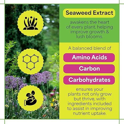 Grow More Sea Grow Kelp Fertilizer - 1.5lbs of 16-16-16 Water-Soluble, All-Purpose Plant Food - Nutrient-Rich, Seaweed Fertilizer - Outdoor & Indoor Plant Food