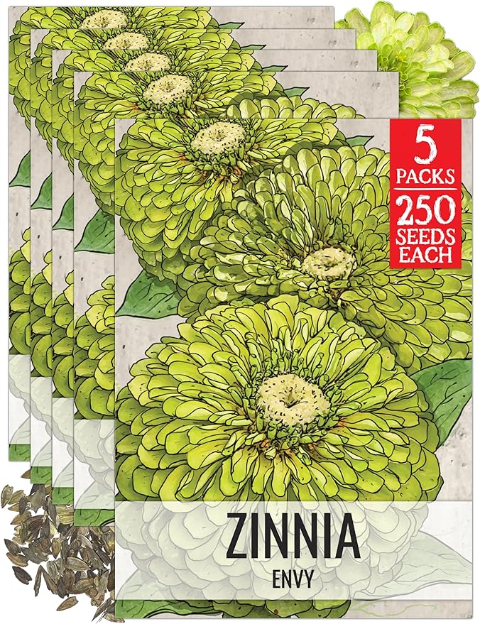 Seed Needs Lime Green Envy Zinnia Seeds for Planting - Heirloom & Open Pollinated Annual Cut Flowers - Grow a Butterfly Garden to Attract Pollinators (5 Packs)