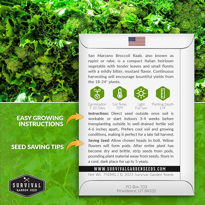 San Marzano Raab Broccoli Rabe Seeds for Planting – Italian Heirloom Rapini Variety, Fast-Growing Cool-Season Greens, Non-GMO High Yield Vegetable Garden Favorite – Survival Garden Seeds (2 Packs)
