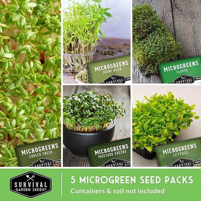 Microgreens Seeds 5-Variety Pack for Sprouting – Mustard, Mung Bean, Curled Cress, Clover & Lettuce Seed for Indoors – Fast-Growing Non-GMO Heirloom Starter Pack – Survival Garden Seeds