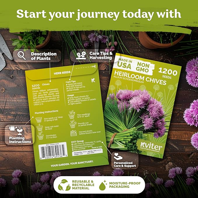KVITER 1200 Chive Seeds (Allium schoenoprasum) - Know as Onion or Garlic Chives Chives, Mild Flavor -Non GMO & Heirloom Herb Seeds for Planting in Outdoor & Indoor Garden, Borders, Containers
