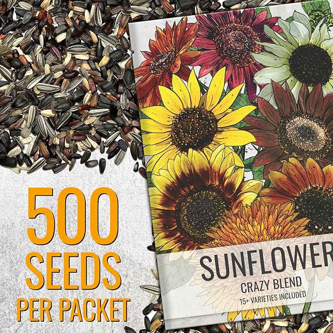 Seed Needs Sunflower Seeds to Plant The Original Crazy Blend | 500+ Heirloom Seeds 15+ Varieties Open Pollinated & Untreated | Resealable Bulk Package Multicolored Blooms Flower Seed