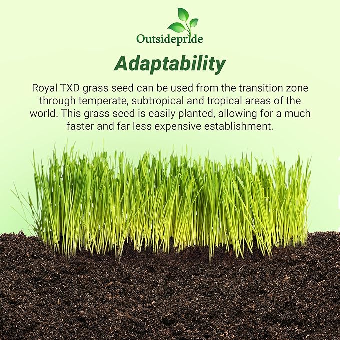 Outsidepride Royal TXD Bermuda Grass Seed Blend - 1 lb. Warm Season, Fast Growing Turf Grass Seeds: Heat & Drought Tolerant, Ideal for Home Lawns & Sports Fields, Dense & Lush Green Coverage