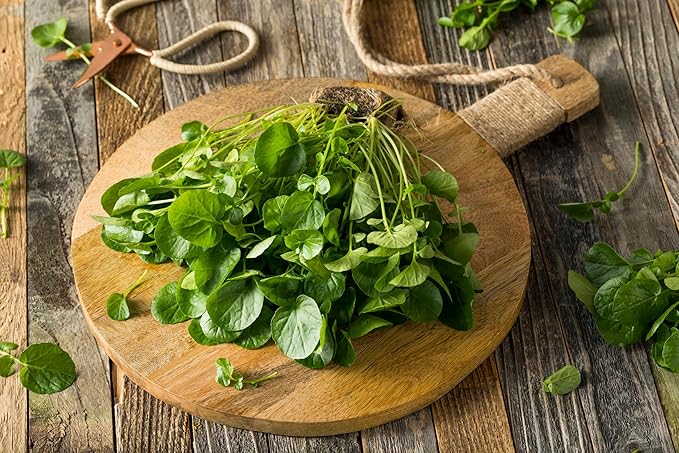 TKE Farms & Gardens - Watercress Seeds for Planting, 1500+ Non-GMO Heirloom Seeds, Grow a Nutrient-Rich Superfood, Easy for Indoor & Outdoor Gardens, Includes Planting Instructions, Qty 1