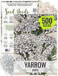 Seed Needs, White Yarrow Seeds - 500 Heirloom Seeds for Planting Achillea millefolium - Perennial Host Plant to Attract Monarch Butterflies & Other Pollinators (1 Pack)