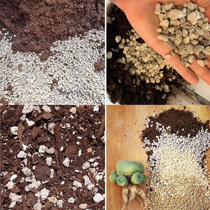 Organic Pumice for Bonsai and Horticultural 100% Natural (1 gallons, 1/2 inch)