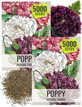 Seed Needs, Antique Shades Peony Poppy Seeds - 5,000 Heirloom Seeds for Planting Papaver paeoniflorum - Attracts Butterflies & Other Pollinators (2 Packs)