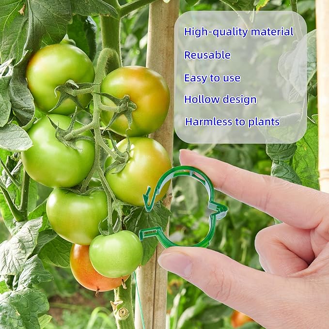 200Pcs Garden Vine Plant Support Clips,Plastic Fixing Clips for Securing and Training Climbing Plants,Tomatoes,Grapes,Vine Vegetables and Potted Plant (200, Green)