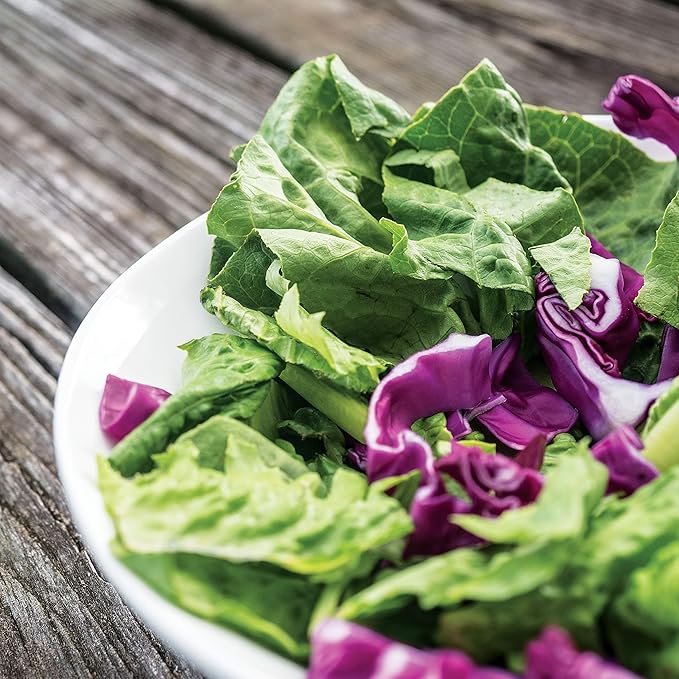 Park Seeds Italian Salad Mix of Lettuces and Cabbages – Red Express Cabbage and Little Caesar Romaine for Bold, Crunchy, Colorful Salads, Cool-Weather Crop for Garden Beds, Pack of 200