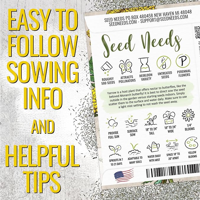 Seed Needs Gold Yarrow Seeds for Planting Yellow Achillea filipendulina - Heirloom & Open Pollinated Perennial Flowers to Attract Monarch Butterflies to a Butterfly Garden (1 Pack)