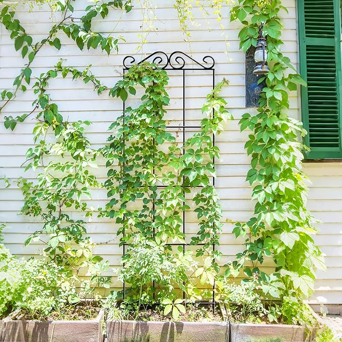 ARIFARO 47'' Metal Garden Trellis for Climbing Plants,(Pack of 4) Indoor/Outdoor Sturdy Plant Trellis for Potted Plants,House Plants, Climbing Vines, Black