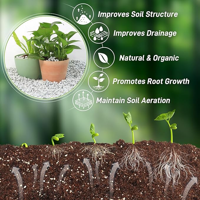 9 Quarts Chunky Perlite for Plant Soil Amendment for Potting Soil, Improves Drainage and Aeration for Soil, Ideal for Succulents, Orchid, Flower Plants (1/4 inch)