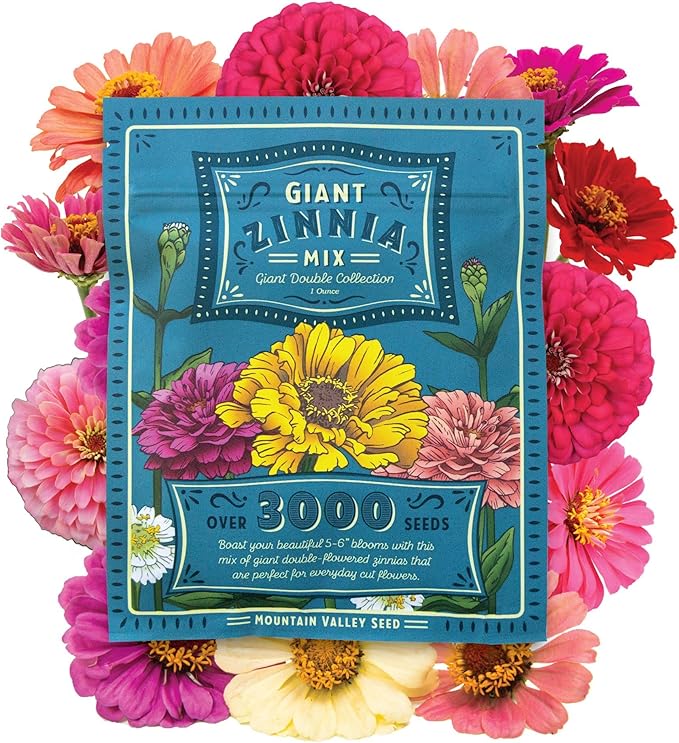 Zinnia Seeds for Planting Outdoors ~3000 California Giant Mix Zinnia Seeds - Beautiful 4' Tall Wildflower Blossoms - Zinnia elegans Pollinator Seed Mix - Bright, Cheerful Annual Flower Seed