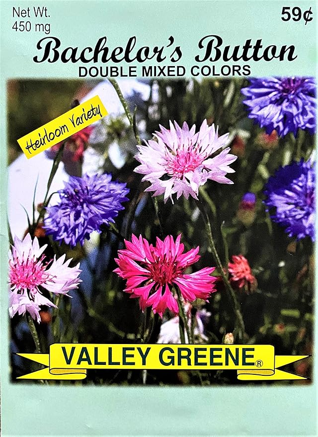Set of 50 Bachelor’s Button - Double Mixed Annual Flower Seed Packets - Bulk Flower Seeds - Perfect for Creating your Dream Garden! - Includes 50 Packets of Bachelor Button Seeds!