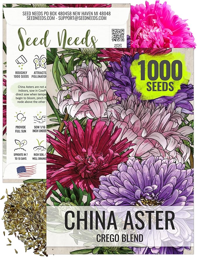 Seed Needs Crego China Aster Seeds for Planting - Heirloom & Untreated - Grow a Butterfly Garden with a Mixture of Colorful Cut Flowers to Pair with Zinnias (1 Pack)