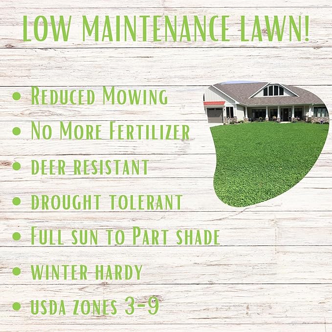 Flawn Seed Kits Micro Clover Seed + Mow Less Fine Fescue Grass, Low Maintenance, Eco-Lawn, Covers up to 500 Sqft