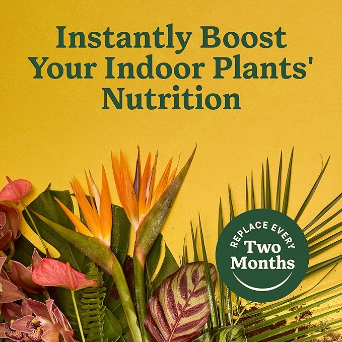 Miracle-Gro Indoor Plant Food Spikes for All Plants, Fertilizer Spikes for Houseplants, Flowers, Vegetables, and Herbs, 48 Spikes