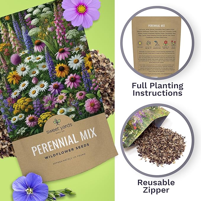 Perennial Wildflower Seeds Mixture - Bulk 1/4 Pound Bag - Over 60,000 Pure Live Seed - Open Pollinated and Non GMO