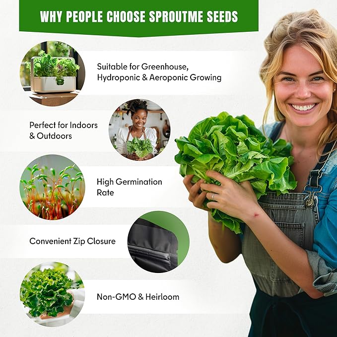 Cold Season Lettuce & Salad Greens Seeds – 15 Fall & Winter Garden Mix, 7300+ Non-GMO Heirloom Seeds Indoor Outdoor Planting