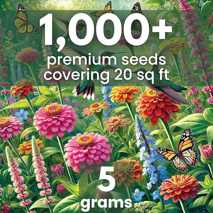 Hummingbird Butterfly Mix - Large 5g Envelope - 1,000 Flower Seeds for Planting - Wildflower Mix