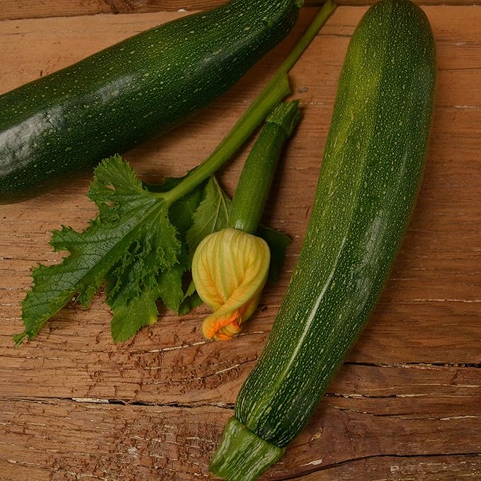 Dark Green Zucchini - 25 Seeds - Heirloom & Open-Pollinated Variety, Easy-to-Grow, Non-GMO Vegetable Seeds for Planting Outdoors in The Home Garden, Thresh Seed Company